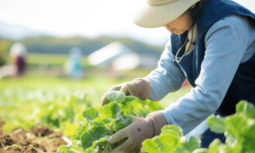 産業・農業・環境特集