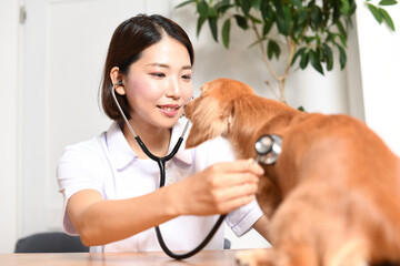 動物関連特集